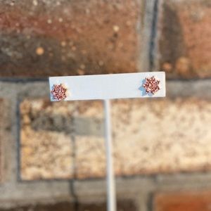 NWT✨ Pink Stud Earrings
